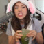 tier 3 pokimane sub