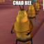 the chaddest of bees