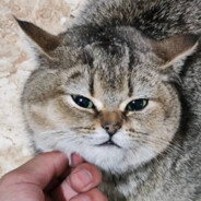 满哥。直播中，一起玩