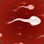 SPERMATOZOID™