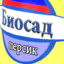 beej