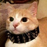 TIGER - steam id 76561197965859179
