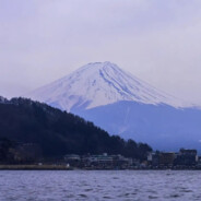 屎到淋头还想搅便