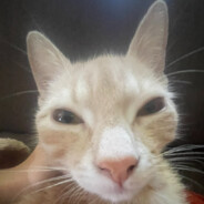 igormarkovic31032012