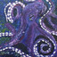 Lost Octopus
