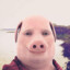 John Pork