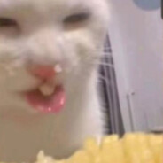 想啃斯卡蒂玉足