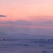 企鹅鹅鹅鹅鹅鹅.