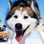 喝最烈的酒，日最野的狗