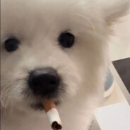 我珍惜你的方式錯了嗎