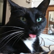 Bongoboon - steam id 76561197964509653
