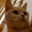 Jekko Steam avatar