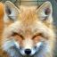 Reynard Fox