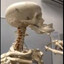 Jamarius Spotockus