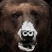 Oso vicioso