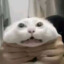yuniorsinjota