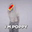 Poppy