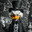 Scrooge McDuck