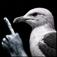 mo_0rdz's avatar