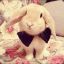 :* Baks Bunny *: