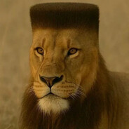 Nemzzz - steam id 76561199475596455