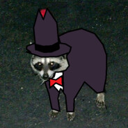 Top 5 Cool Raccoons