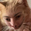 YoungDebelak