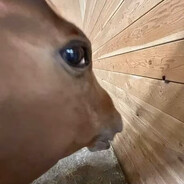 请我吃碗麻辣烫