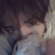 毅书书书书书su