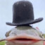 fish with hat