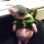 给我解封啊！！！！！