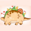 Chubby Taco