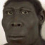 Australopithecus
