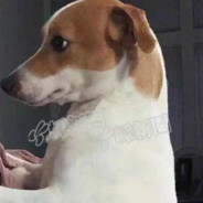 队友战斗我shopping，队友倒地我running