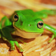 水|охрана лоутаба