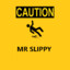 Mr slippy