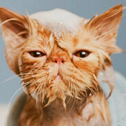 мокрые киски