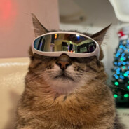 ЧифирнулБыНиштяк