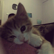 низкий дэнс