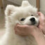 冬月虎子