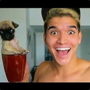 guppy the pug