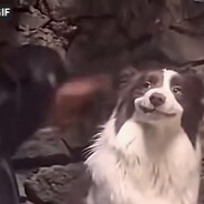 noob - steam id 76561198185395301