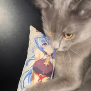 GamerCat