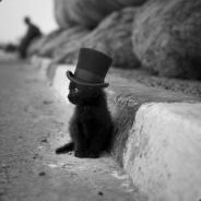 top hat