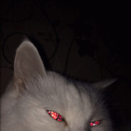 kn