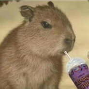 想念是会呼吸的痛