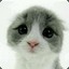Smy