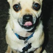 Rekcah - steam id 76561197960469189
