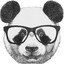 dr_BlackPanda