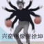阳光彩虹小白马